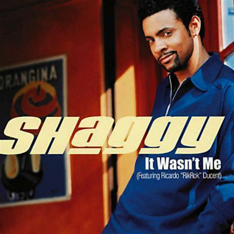 banging on the bathroom floor|Lyrics for It Wasn't Me by Shaggy .